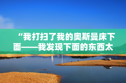 “我打扫了我的奥斯曼床下面——我发现下面的东西太可怕了。”